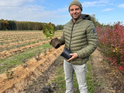 Borówka kontra jagoda kamczacka – która uprawa bardziej się opłaca? Rusza eksperyment porównawczy!