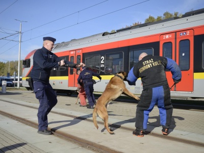 ŁKA wspiera szkolenie służb z psami