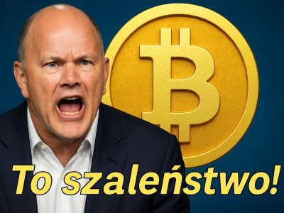 Mike Novogratz: Trzeba szaleństwa, by Bitcoin sięgnął 250 000 USD w tym roku