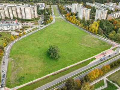 CUK przedstawił tygodniowy harmonogram prac zieleniarskich