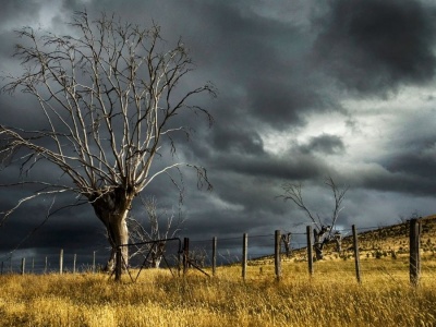Orkan Joshua nadciąga do Niemiec: DZIŚ zrobi się niebezpiecznie! Ulewy i wichury o sile huraganu