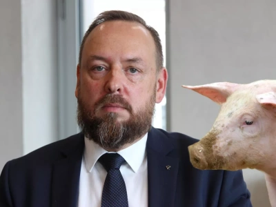 Co dalej z ASF w Polsce? Nowy Główny Lekarz Weterynarii chce przeanalizować sytuację