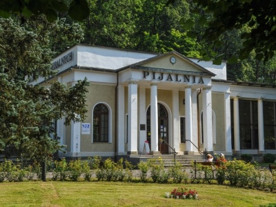 Tutaj można napić się wody Chopina. Czym jest słynna pieniawa?