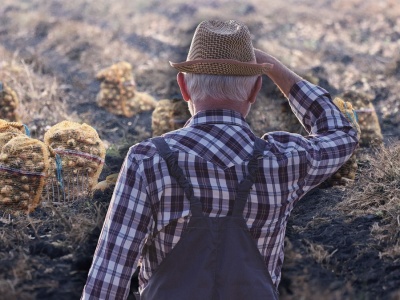 Rolnicy zdruzgotani. 