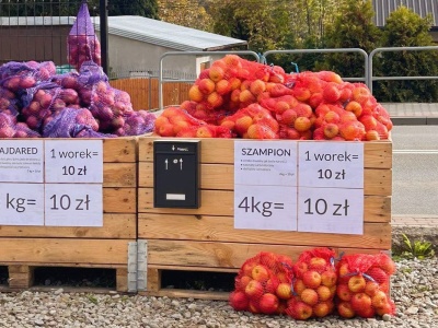 Zatrzymaj się, wybierz jabłka i zapłać BLIKIEM – genialny pomysł z Łącka