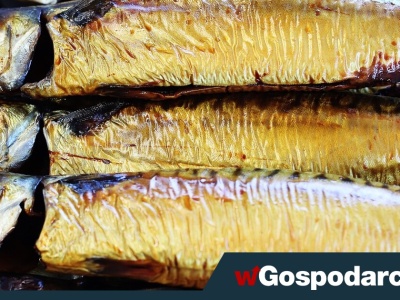 Makrela czy łosoś – co wybrać?