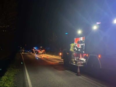 Brzeźnica: kolizja z dzikiem sparaliżowała ruch na drodze — interweniują strażacy