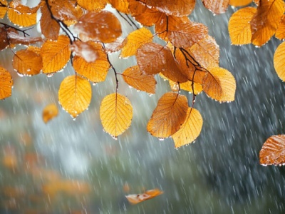 Pogoda na piątek | Znaczne ochłodzenie, silny wiatr i opady deszczu