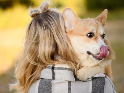 Tak psy wpływają na nasze zdrowie. Naukowcy wyliczają