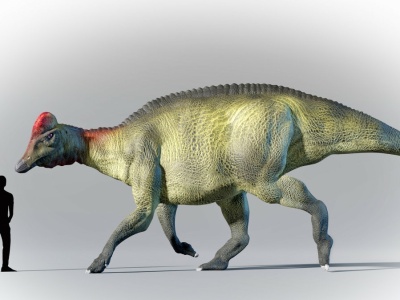 Znaleźli mumię dinozaura. Przecierają oczy. On miał kopyta!