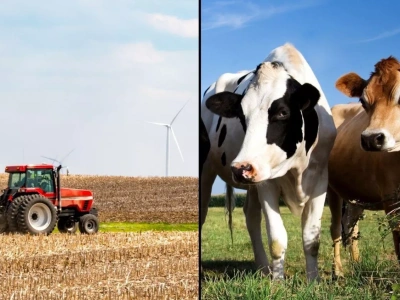 Nowe sumy ubezpieczeń rolnych na 2026 rok. Niektóre kwoty mogą zaskoczyć