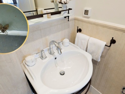 Zlatują się do łazienek i kuchni. Nie pomaga nawet gorąca woda