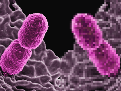 W krajowskiej fabryce AI powstaną 