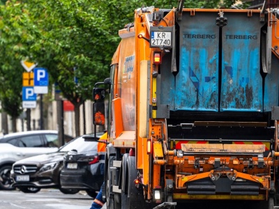 Nietypowe odkrycie w Krakowie. Jadowite pająki w koszu na śmieci