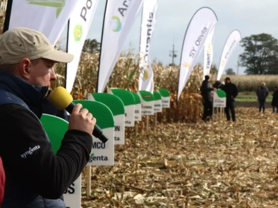 Jak dobrać odmianę kukurydzy do swojego gospodarstwa?