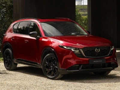 Producent samochodów wygrał bitwę. Akcyza będzie niższa