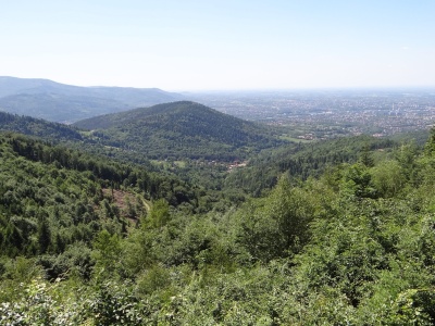 Celtyckie tajemnice Mazowsza. Na Łysej Górze archeolodzy znaleźli zaawansowane narzędzie medyczne