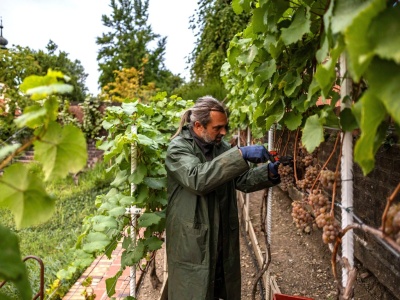 Komentarz do Ewangelii, 25 października 2025