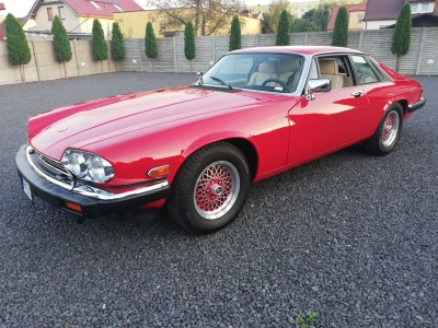 Jaguar XJ-S Rouge Collection 1989 – 149000 PLN – Ostrów Wielkopolski