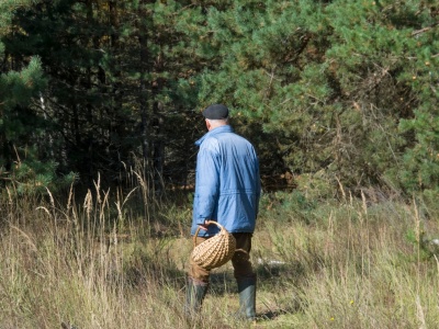 Zła wiadomość dla grzybiarzy. Leśnicy: to może być ostatnia szansa w tym roku