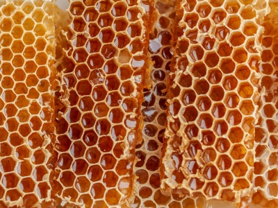 OD PASJI DO PARALIŻU SERWERA. Jak rodzinne „Miody Wadowickie” zalała fala dobra