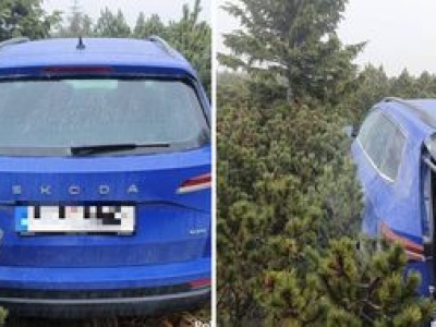 Skradzione auto odnalezione pod Śnieżką. Było ukryte w kosodrzewinie