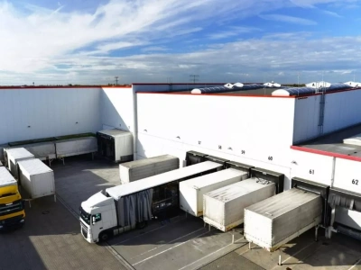 Rekordowo wysoki import aż z 20 krajów do Polski. O jakim warzywie mowa?