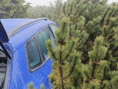 Policja pochwaliła się, że znalazła skradzione auto. Nie zgadniecie, gdzie było