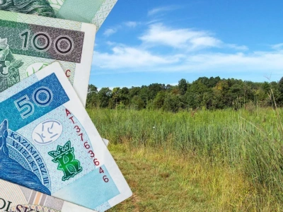 Jakie są ceny łąk w Polsce? Najnowsze dane zaskakują