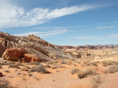 Ziemia bez flagi, której nie chce żaden kraj. Jedno z ostatnich takich miejsc na ziemi