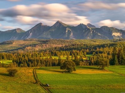Na drzewie, pod wodą i... na tafli jeziora. Cztery miejsca w Polsce, o których nie każdy słyszał