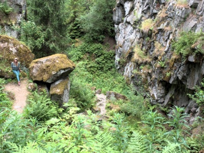 Anomalia magnetyczna i 