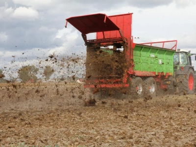 Ile fosforu zawiera obornik bydlęcy?