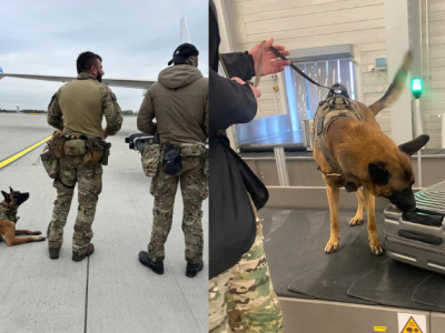 Czworonożni specjaliści w akcji. Psy służbowe szkoliły się na lotnisku w Pyrzowicach