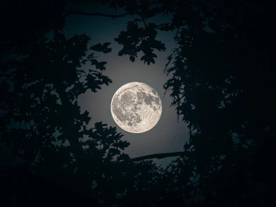 Pełnia księżyca skraca sen? Mit ma ziarno prawdy