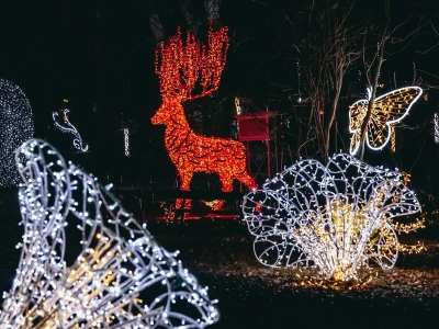 Warszawska atrakcja jak z bajki wraca. 20 proc. zniżki na bilety