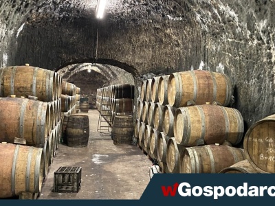 Winiarstwo w Polsce wyszło z niszy