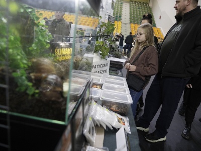 Spotkanie z egzotyką w Hali Legionów