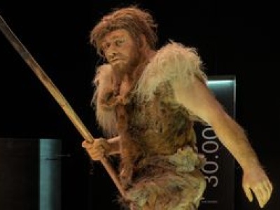 Nowe badania zmieniają ich obraz. Co naprawdę jedli neandertalczycy?