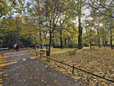 Jesień w Krakowie w pełni – piękna, złota i… śliska (Galeria)