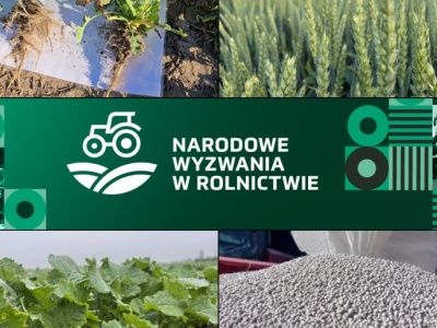 Sztuka optymalizacji w produkcji roślinnej. Jak przetrwać w trudnych czasach rynkowych?