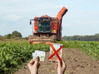 Kampania cukrownicza 2026/2027. Jaka cena w KGS za buraki cukrowe?