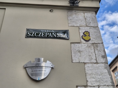 Tajemnicza kaczka na ul. Szczepańskiej