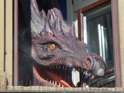 Ruchomy smok w oknie w Krakowie. Obserwuje z góry mieszkańców