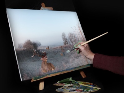 Sztuczna inteligencja opanowana przez uprzedzenia białej supremacji