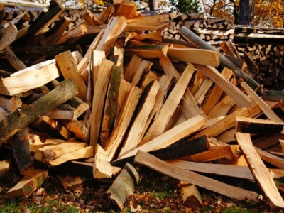 Frezowanie pni, zleć to profesjonalistom z Komplex