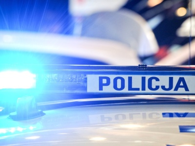 Tragedia pod Jasłem. Nie żyje kierowca i pies