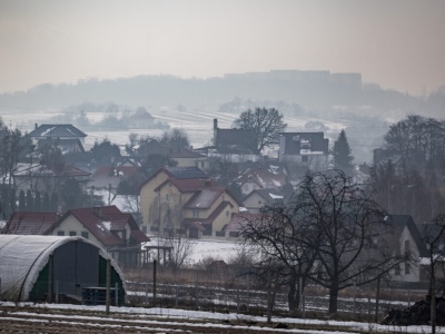 Badanie: Polacy mylą smog z CO2. Chcą go zwalczać zielenią
