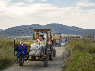 Nowe, wysokie kary za przewóz osób na przyczepach. Na co muszą uważać rolnicy?