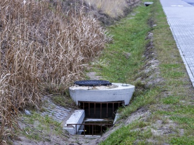 Poszedł rankiem na spacer. Zamarł na widok tego, co znalazł jego pies